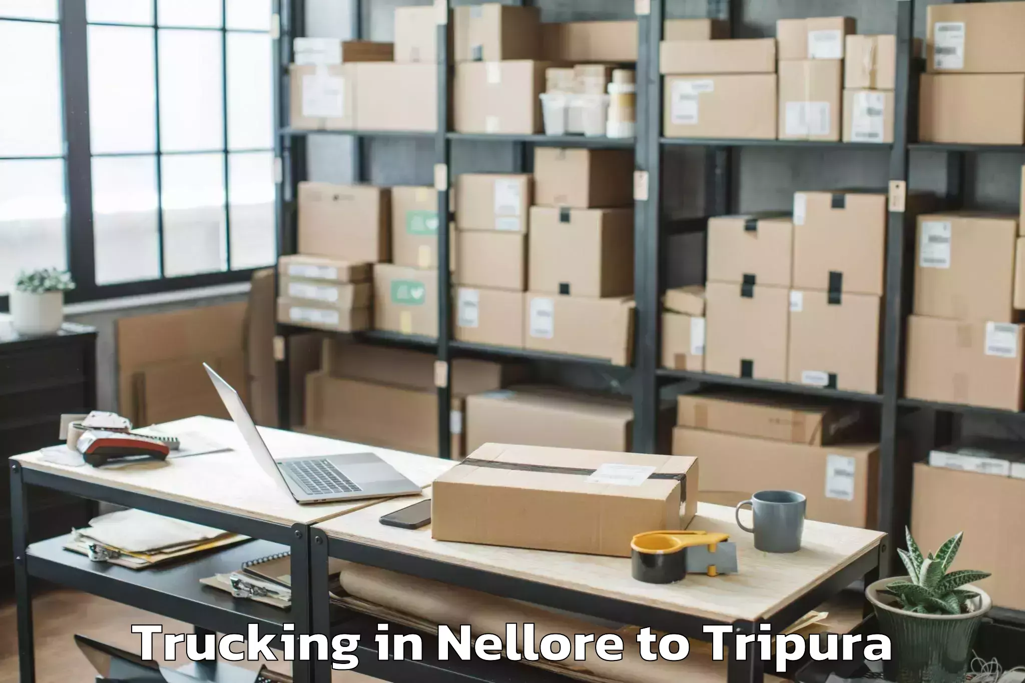 Easy Nellore to Amarpur Trucking Booking